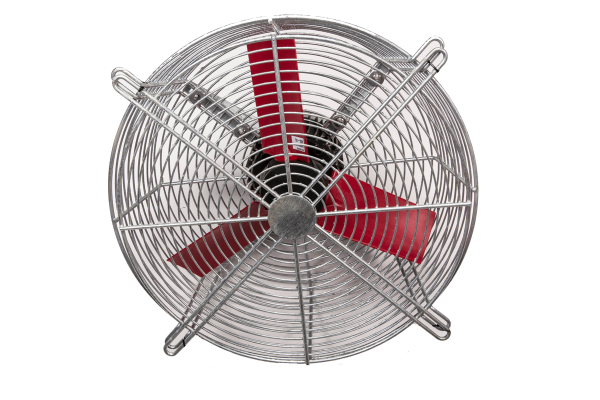 Fans - Image 2
